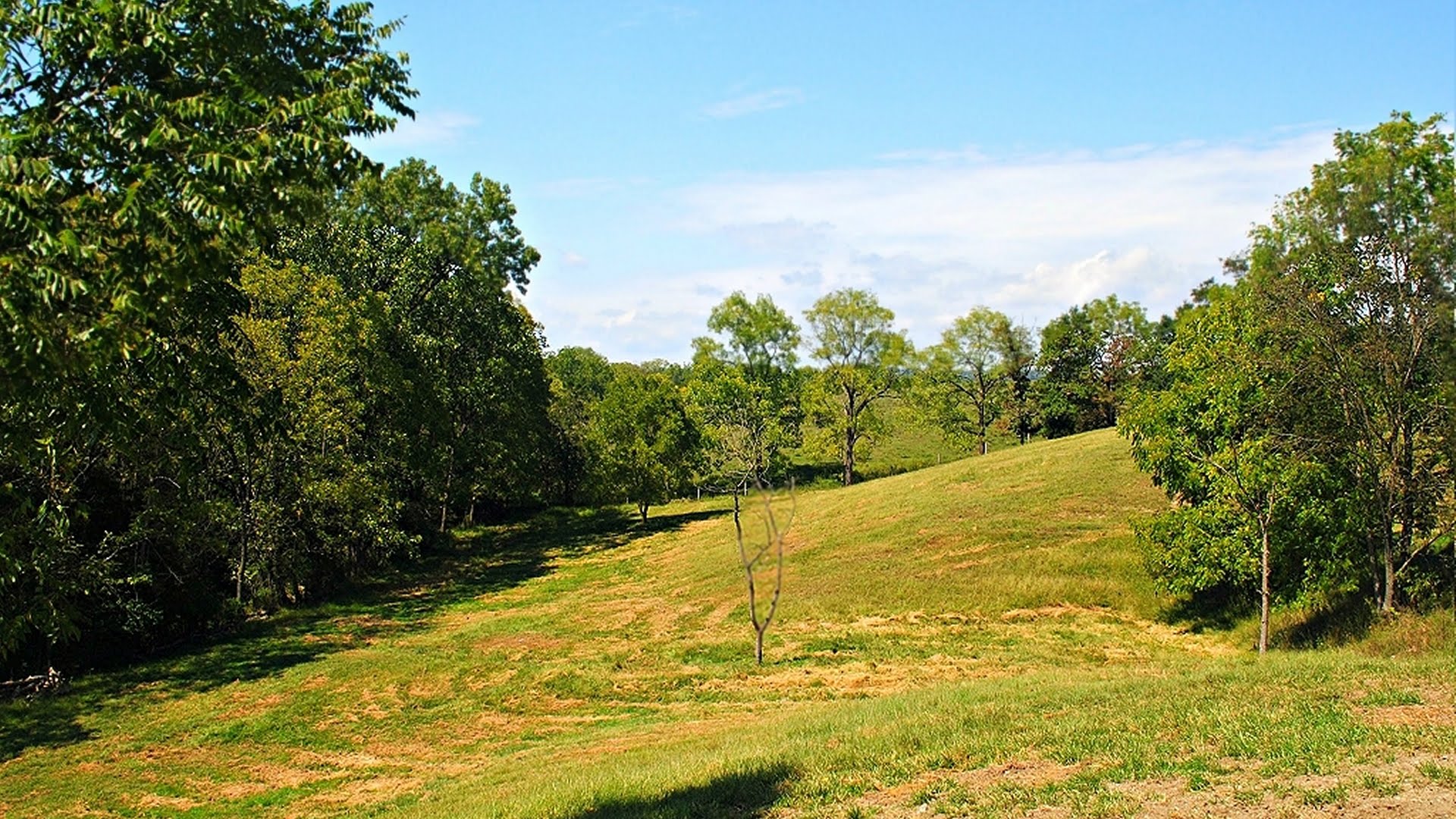 6466 E Timber Ridge Rd Mount Crawford Va